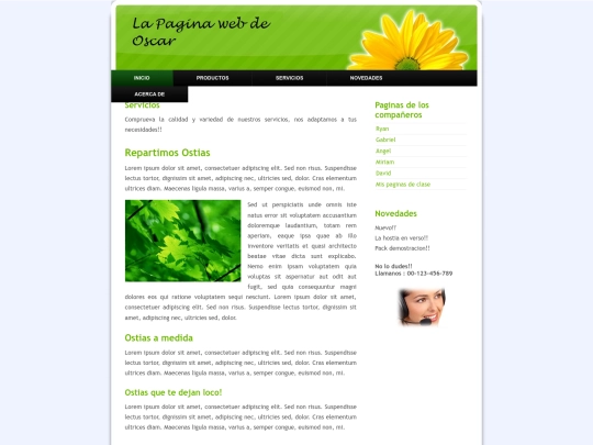 servicios screenshot