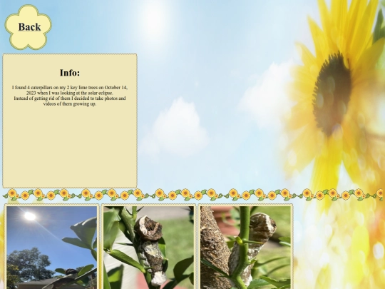 Butterfly screenshot
