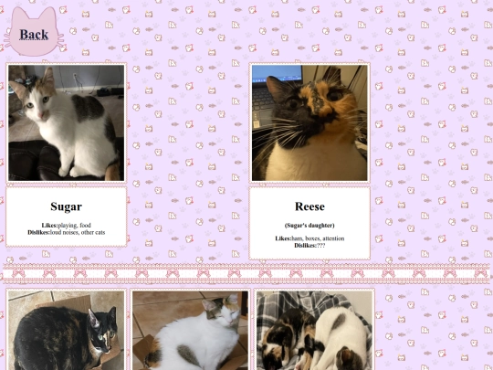 Cats screenshot