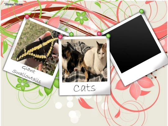Photos1 screenshot