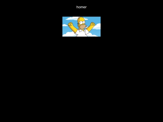 homer screenshot