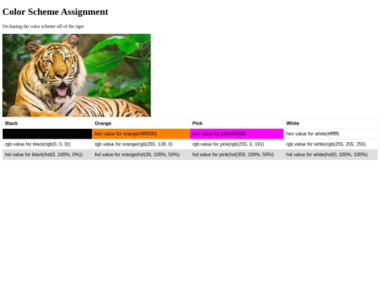 assign-for-navigation/3.04-Color-Scheme-Assignment/3.04-website/3.04 screenshot