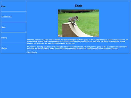 Skate screenshot
