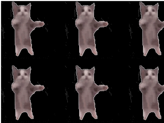 home/cat screenshot