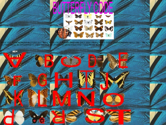 butterfly screenshot