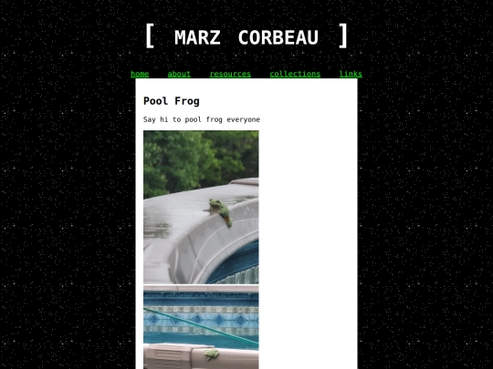 tumblrarchive/poolfrog screenshot