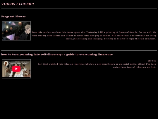 videoslog screenshot