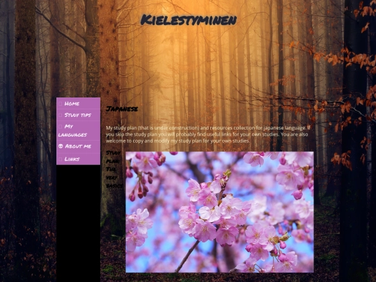 japanese screenshot