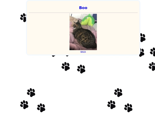 boo screenshot