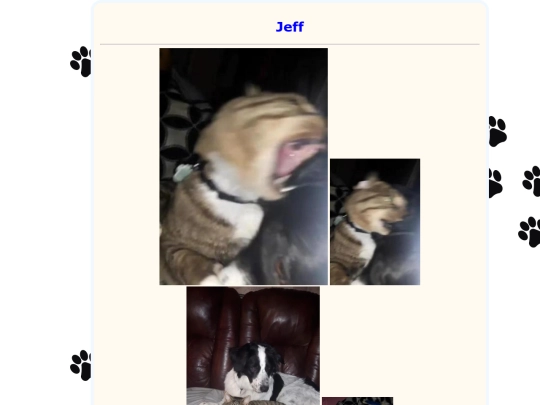 jeff screenshot