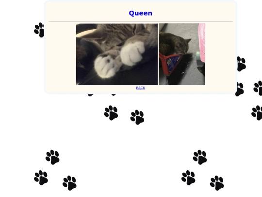 queen screenshot