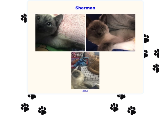sherman screenshot