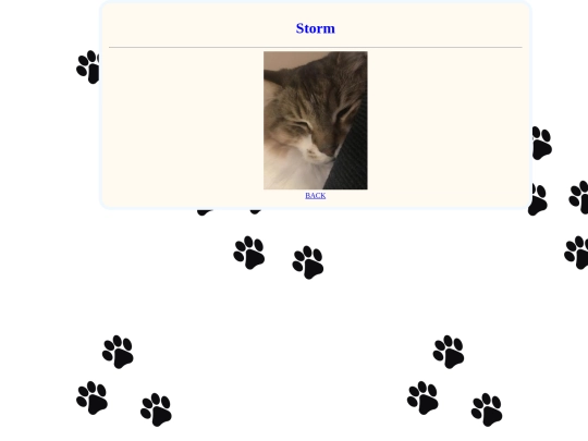 storm screenshot