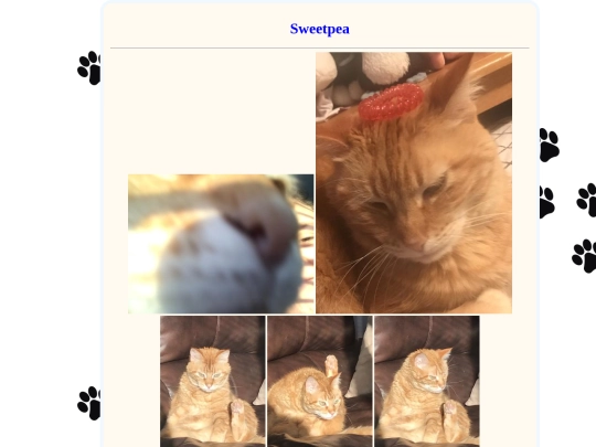 sweetpea screenshot