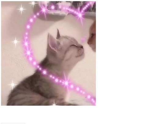instagram/posts/20241110-1 screenshot