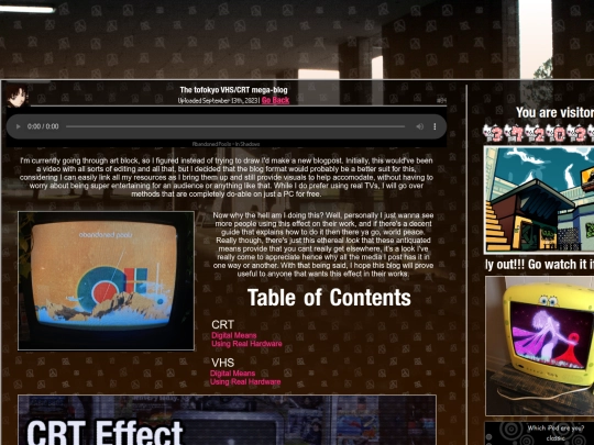 blog/vhs screenshot
