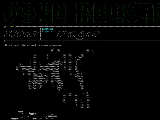 ASCII screenshot
