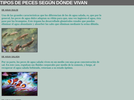 html5/trabajo/info screenshot