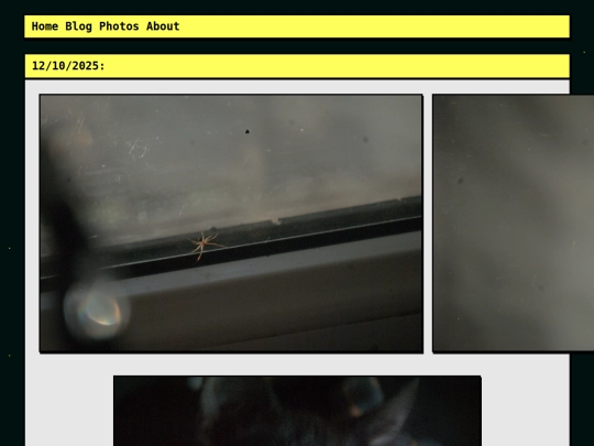 photography screenshot