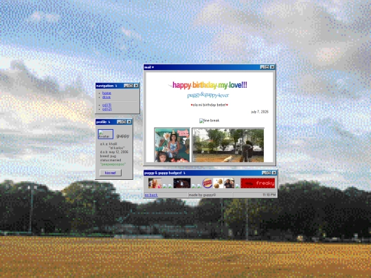 home screenshot