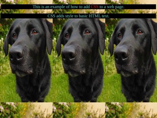 addingCSS screenshot