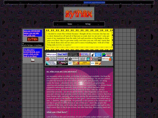 pages/home screenshot