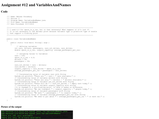 Intro/priniting/12/VariablesAndNames screenshot