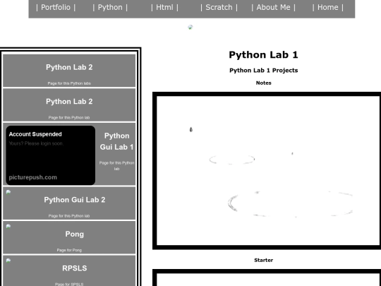 python screenshot