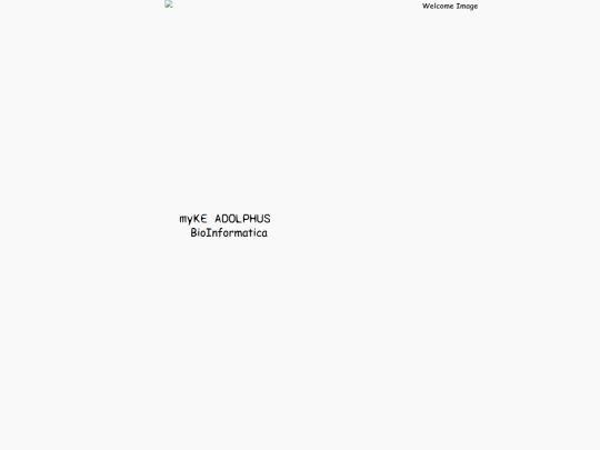 MimiInformatica_welcomepage screenshot