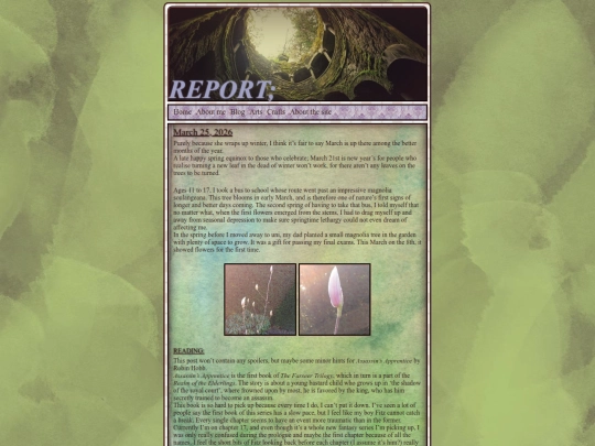 report screenshot