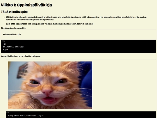 oppimispaivakirja/viikko1 screenshot
