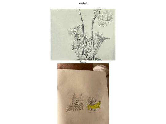 doodles screenshot