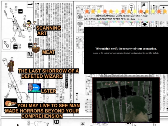 pyongyang_liver screenshot