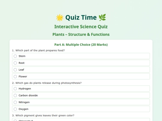 ICT_CCA1/Quiz screenshot