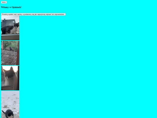 opinia screenshot