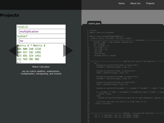 projects screenshot