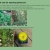 The Official Plant Webzone avatar