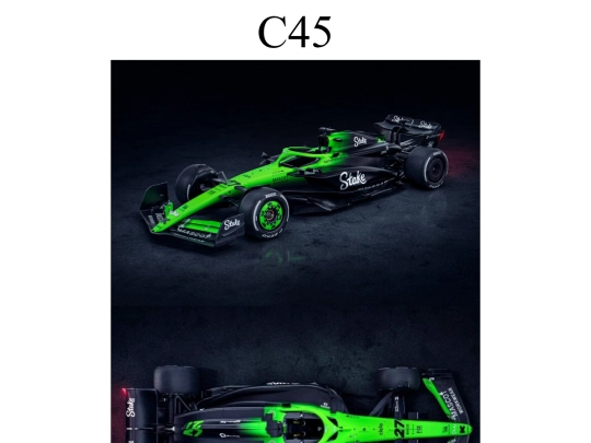 sauber/cocheskick screenshot