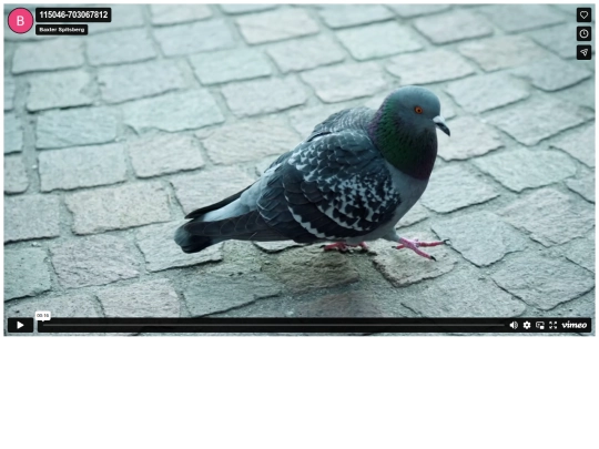 file screenshot
