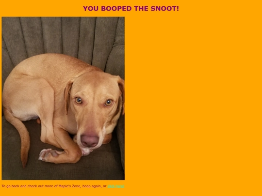 booped screenshot