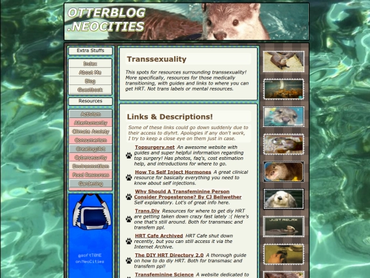 transsexuality screenshot