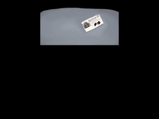cham_id screenshot