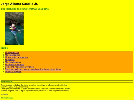 CVU/curriculum screenshot