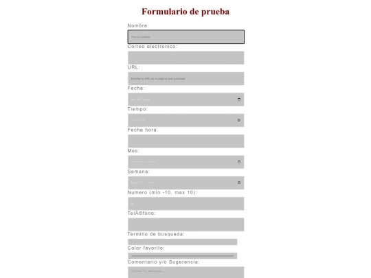 formulario screenshot