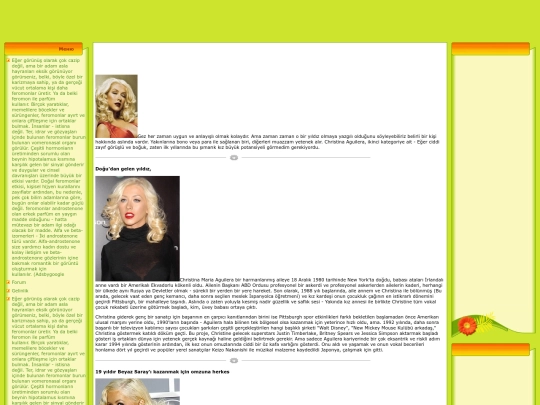 default1/christina-aguilera-1251 screenshot