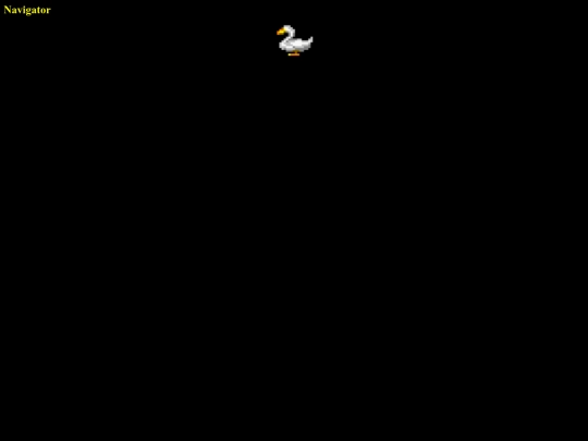 navigator screenshot