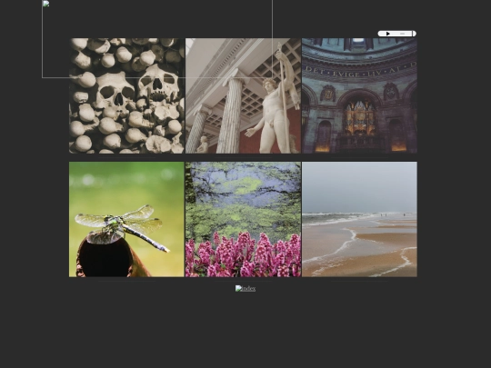 photography screenshot