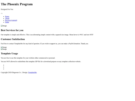 css/services screenshot