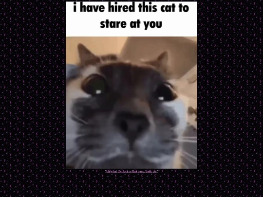 cat screenshot