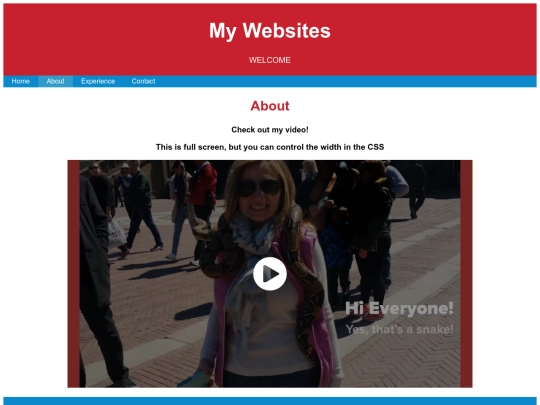 WEB-DESIGN/5-Example Site/about screenshot